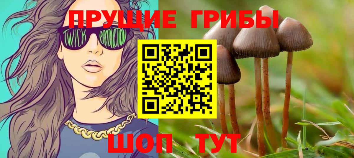 цены   Псилоцибиновые грибы прущие грибы  Миллерово  Вход с VPN  Галлюциногенные грибы Magic Shrooms 